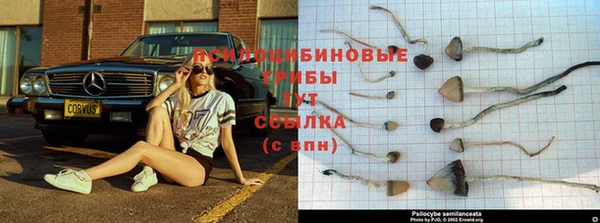 трава Балабаново