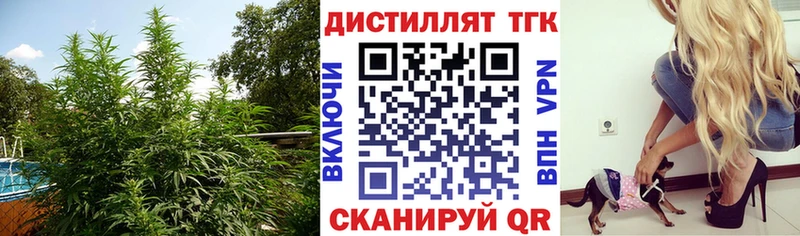 цены   Западная Двина  ТГК концентрат 